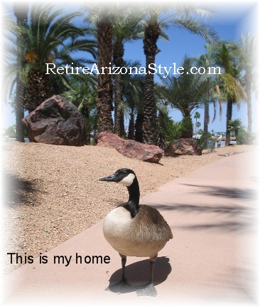 Sun City Arizona Sun City Arizona